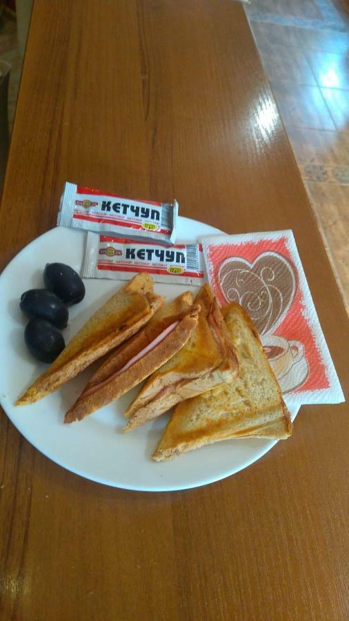Family Hotel Emaly 1 Bankya Dış mekan fotoğraf